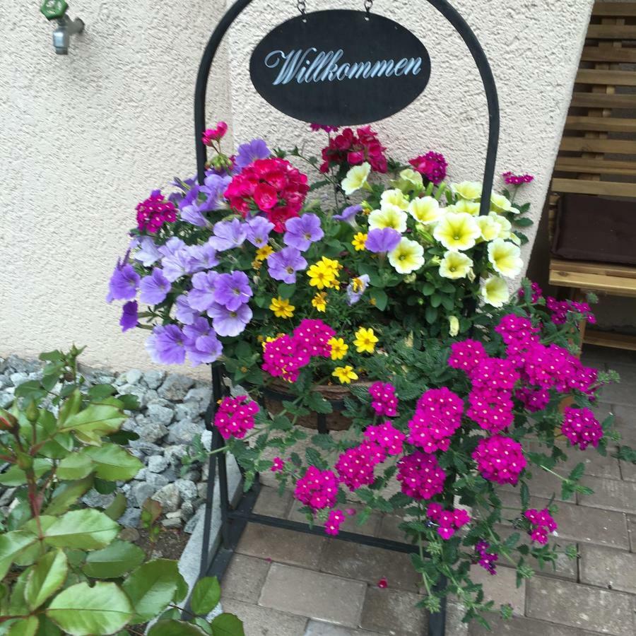 Hotel B&B Casa La Val Sedrun Kültér fotó